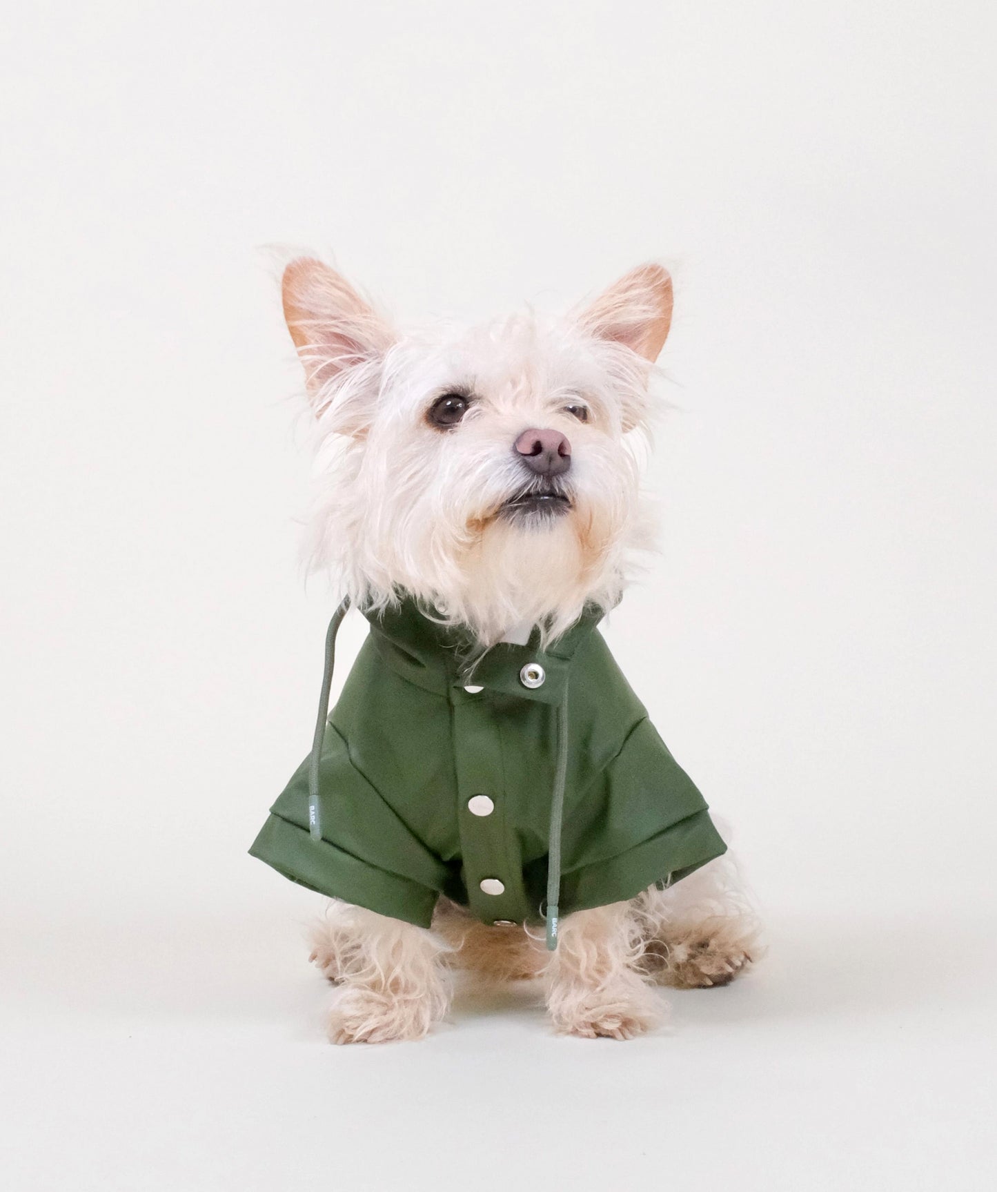 Chubasquero para perros