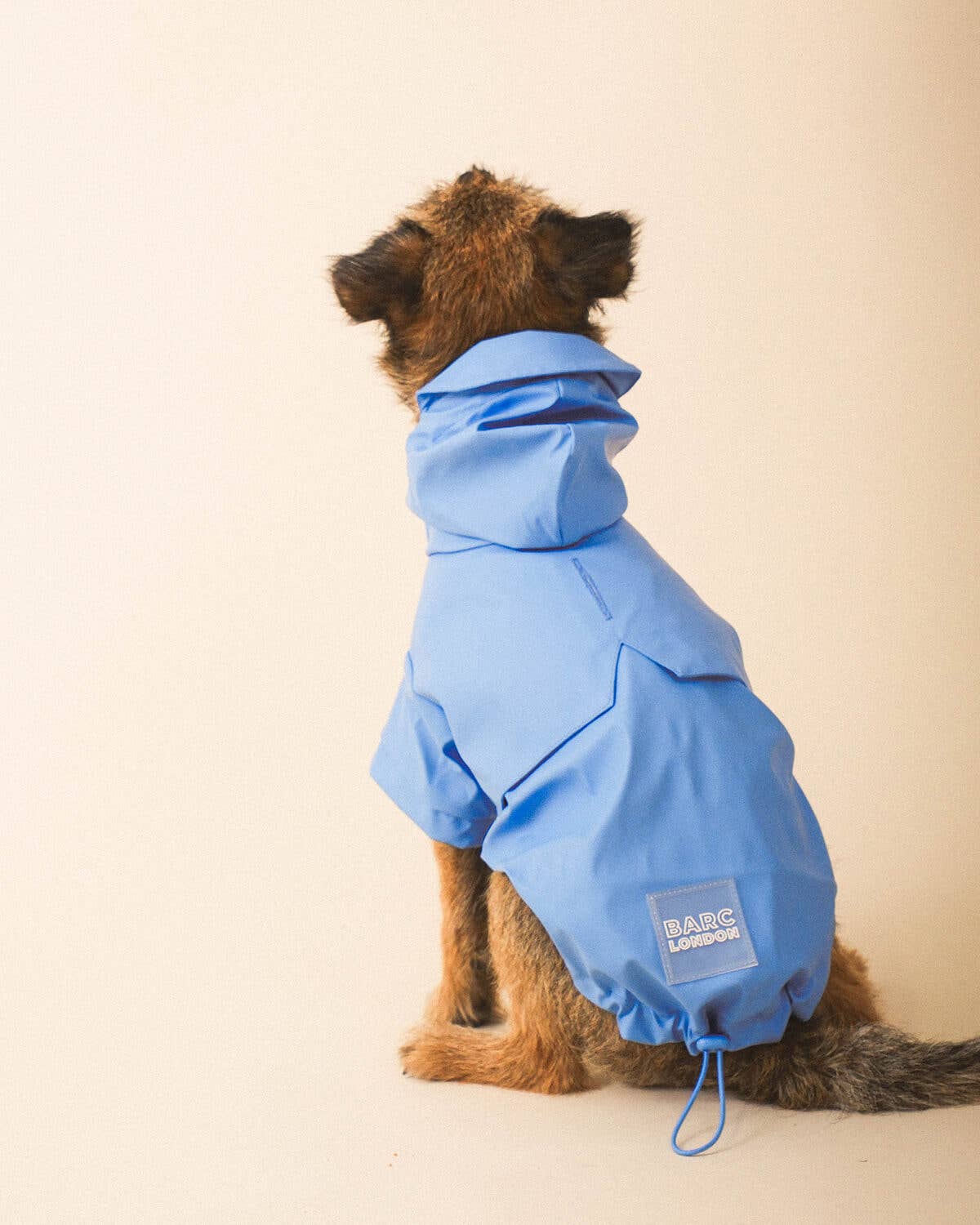 Blue Dog Raincoat - chubasquero