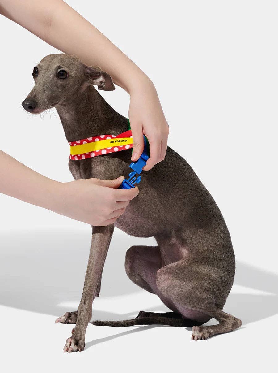 Chroma Pet Harness & Leash Set Red