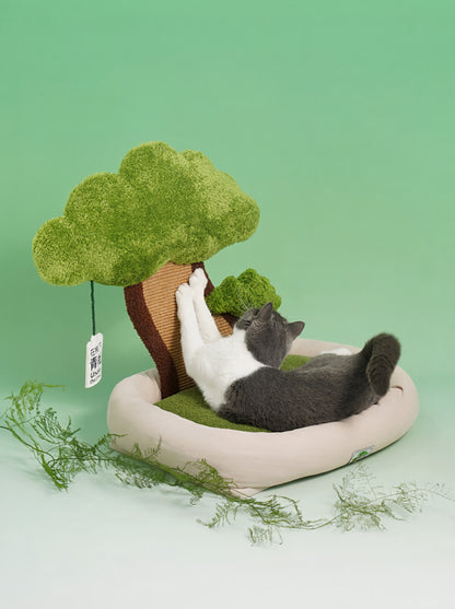 Green Lucky Tree
