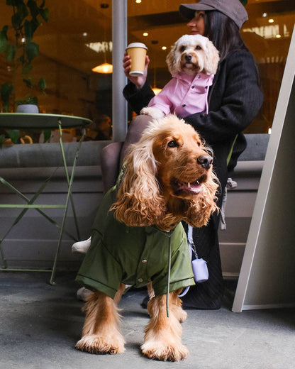 Green Dog Raincoat - chubasquero