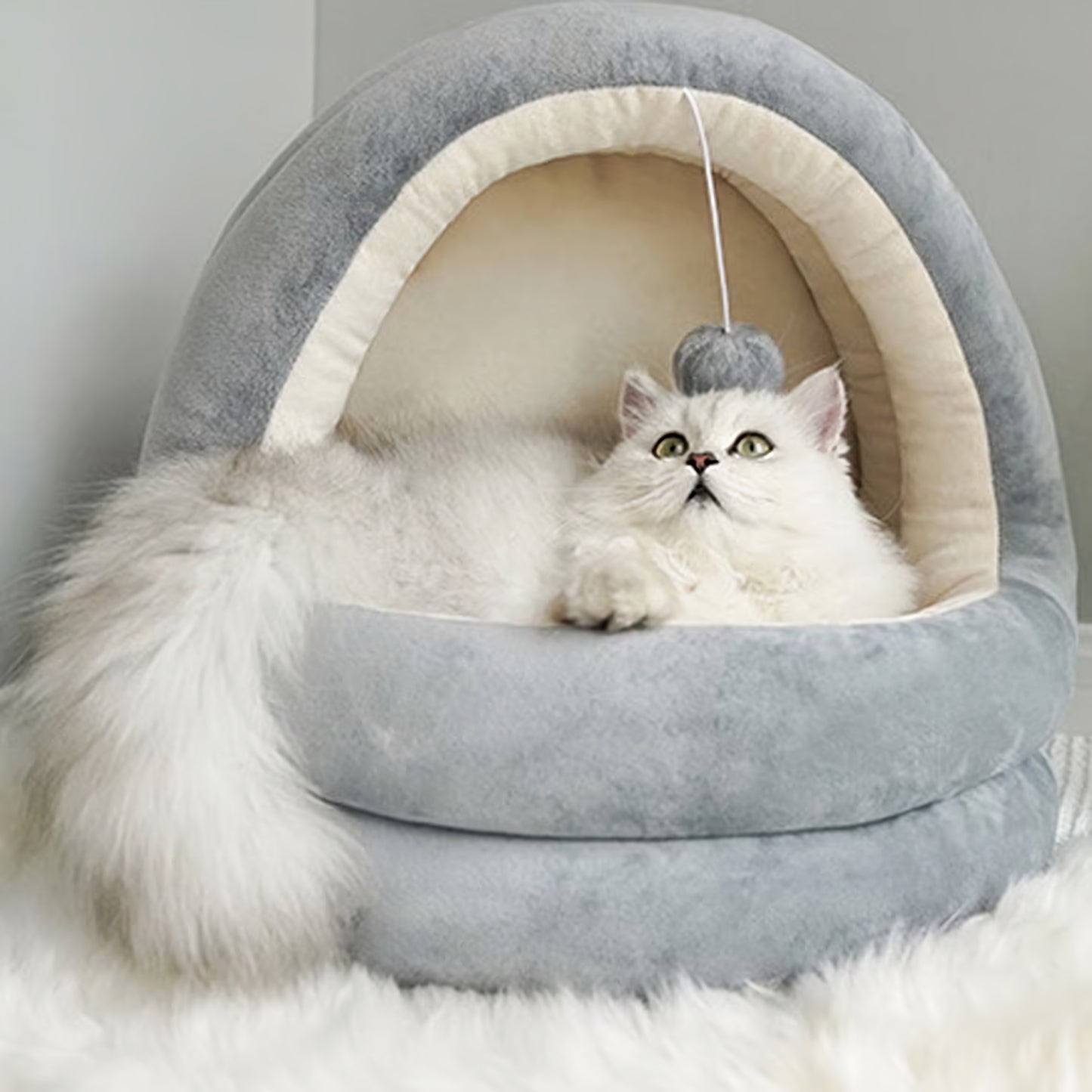 Snuggle Nest