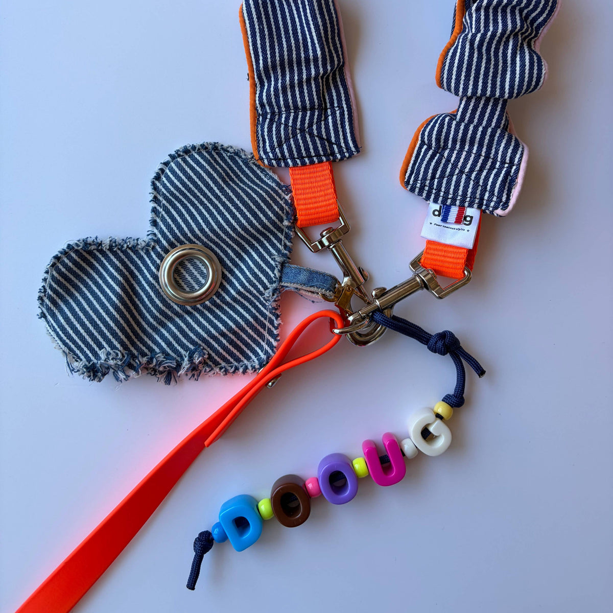 Blue striped leash - correa
