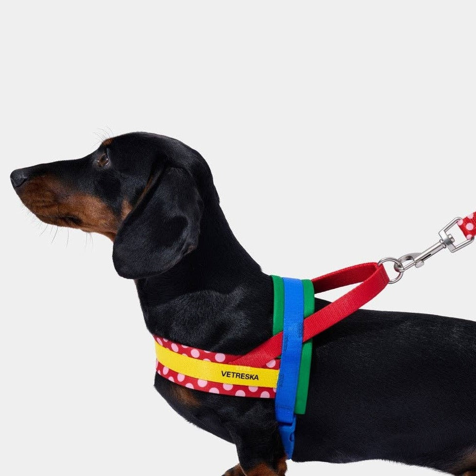Chroma Pet Harness & Leash Set Red