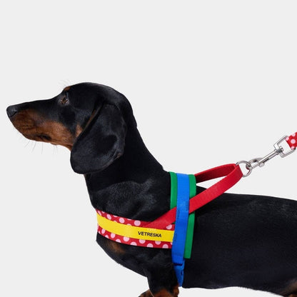 Chroma Pet Harness & Leash Set Red