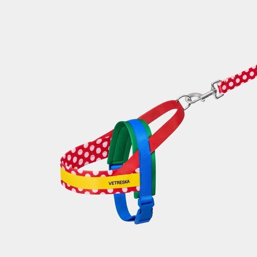 Chroma Pet Harness & Leash Set Red