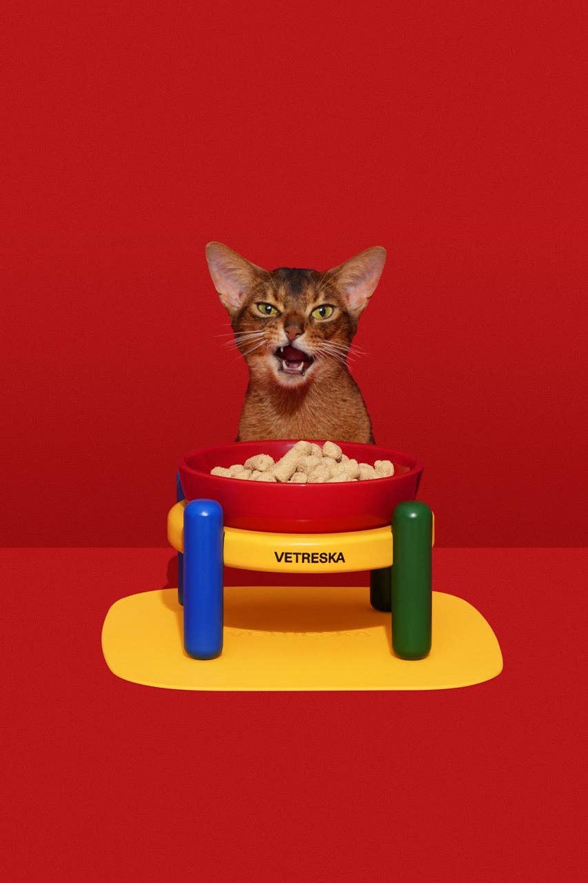 Chroma Ceramic Pet Bowl & Mat Set - miska