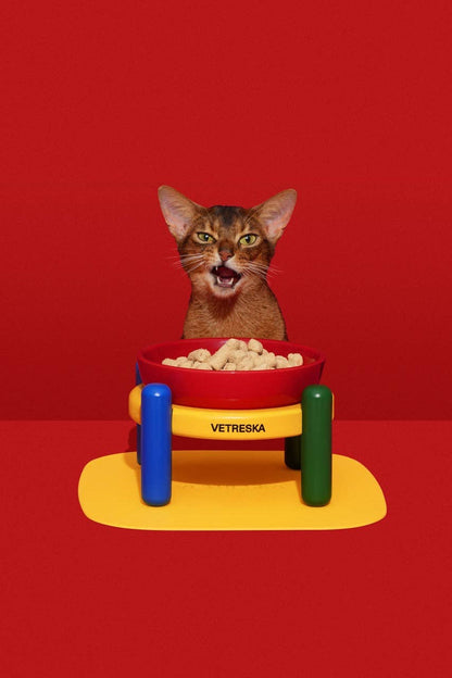 Chroma Ceramic Pet Bowl & Mat Set - miska