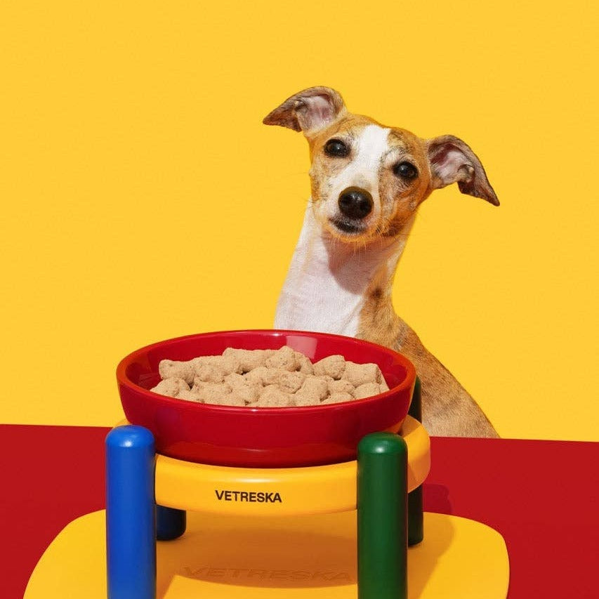 Chroma Ceramic Pet Bowl & Mat Set - miska