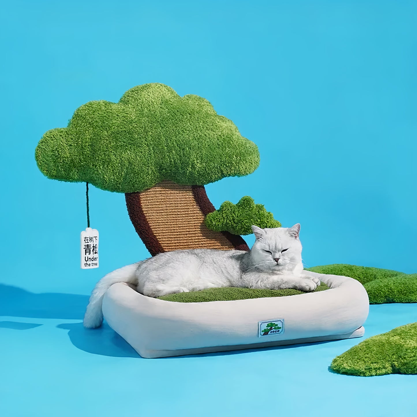 Green Lucky Tree