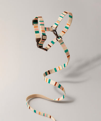 Leash & Harness Kit white