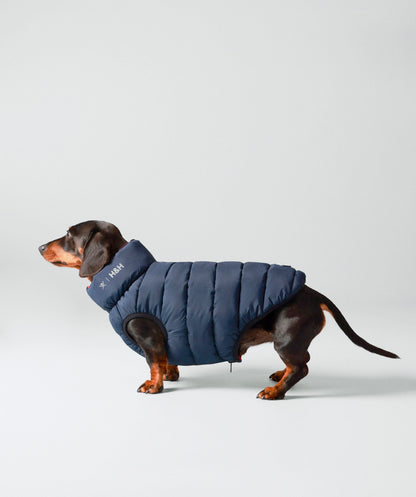 Hackett dog puffer jacket