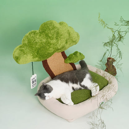 Green Lucky Tree