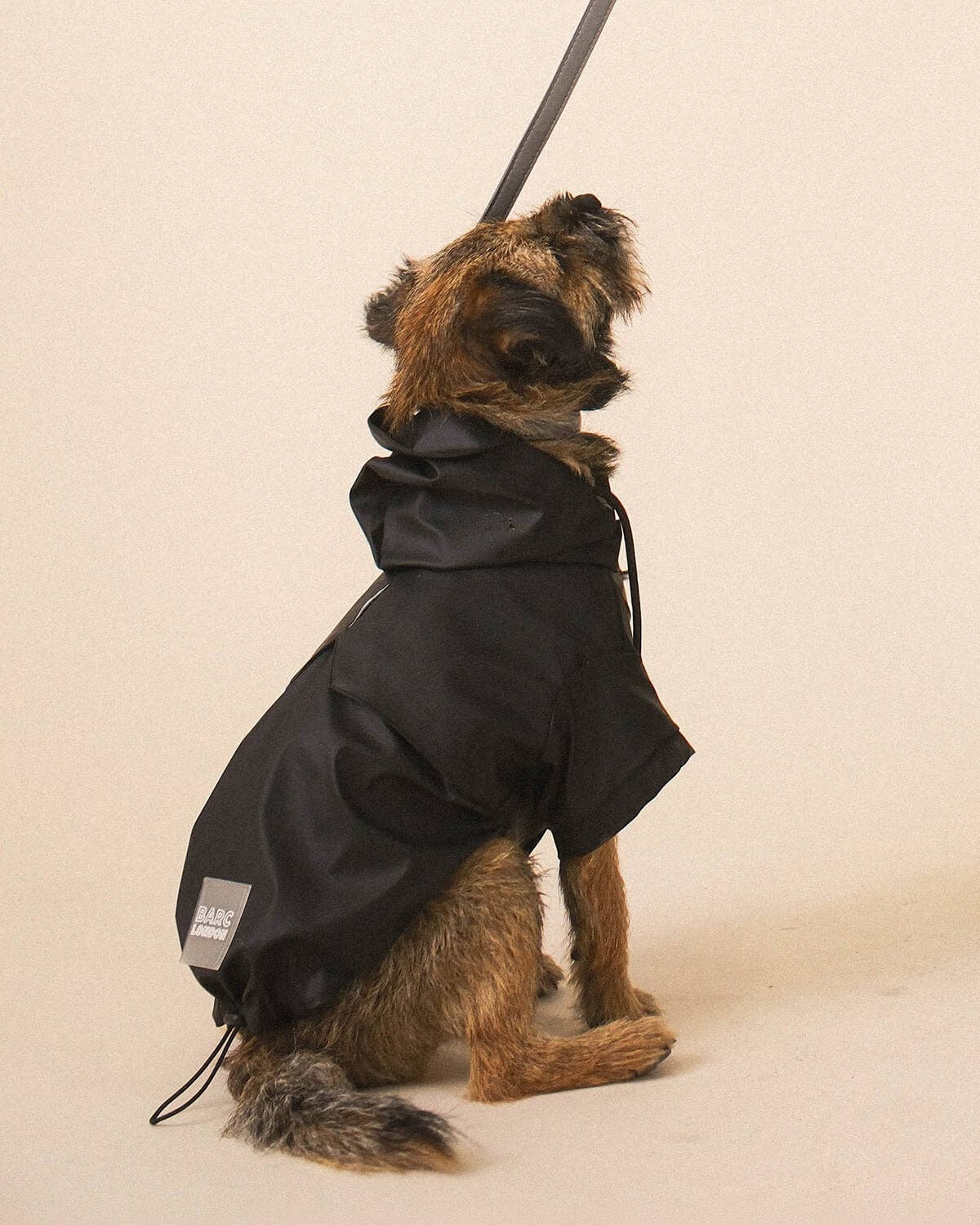 Black Dog Raincoat - chubasquero