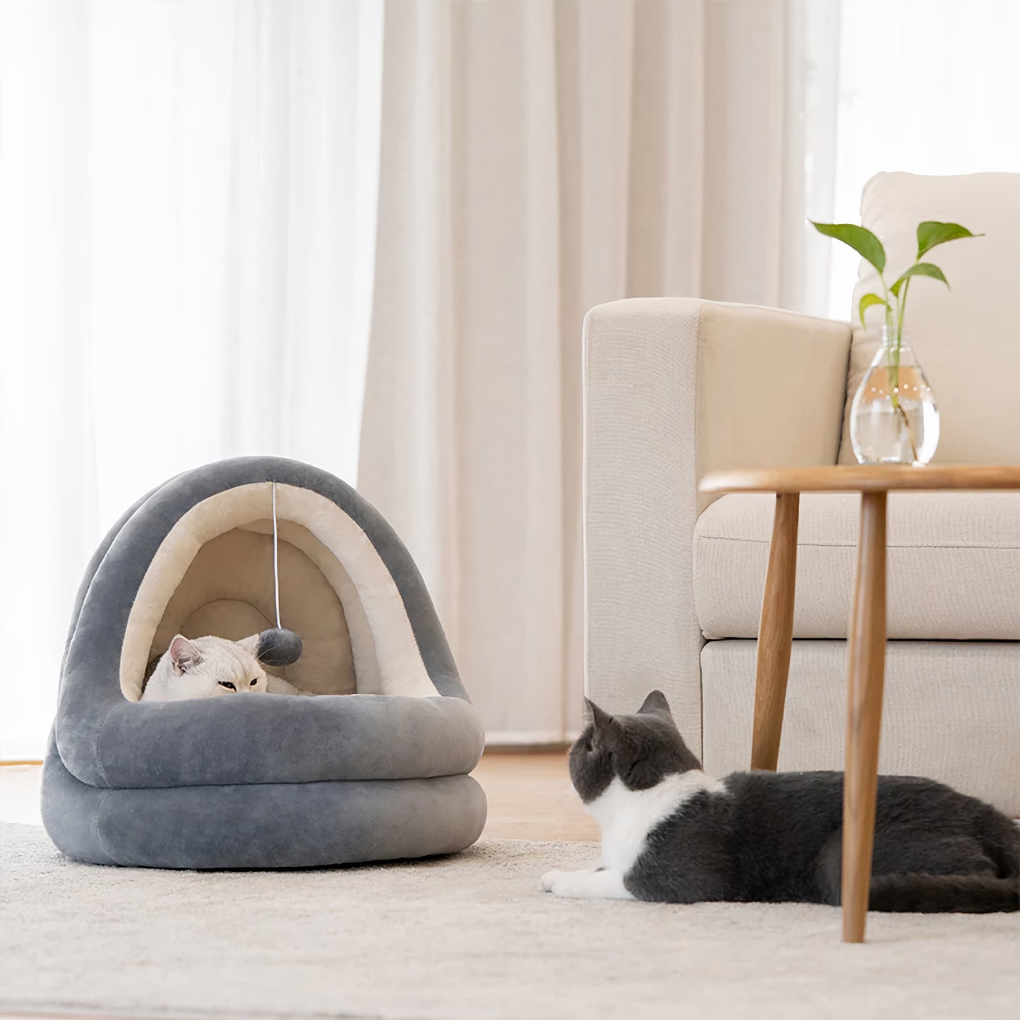 Snuggle Nest