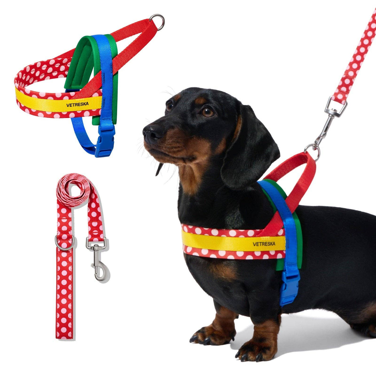 Chroma Pet Harness & Leash Set Red