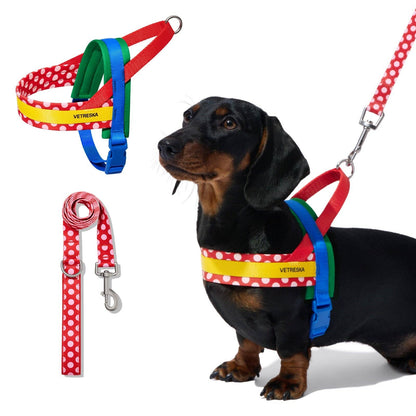 Chroma Pet Harness & Leash Set Red