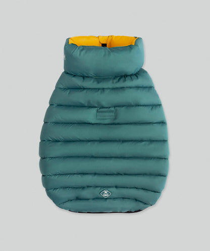 Hackett dog puffer jacket