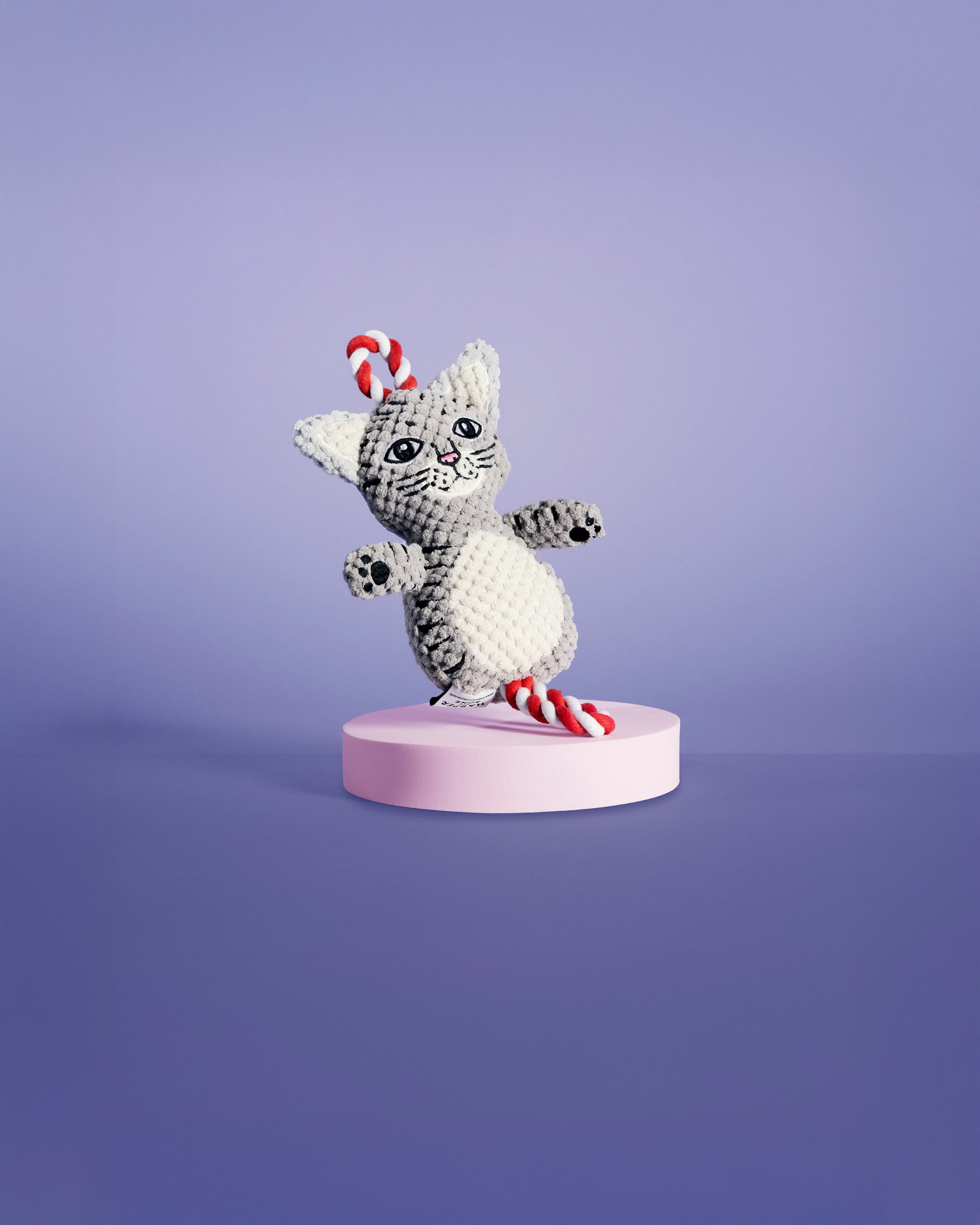 Acessórios para cães e gatos