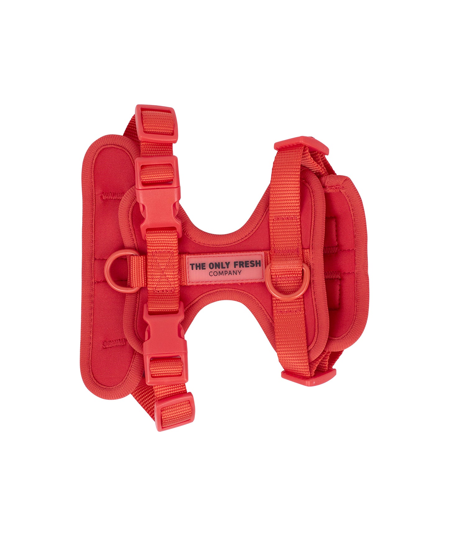 Smart Harness