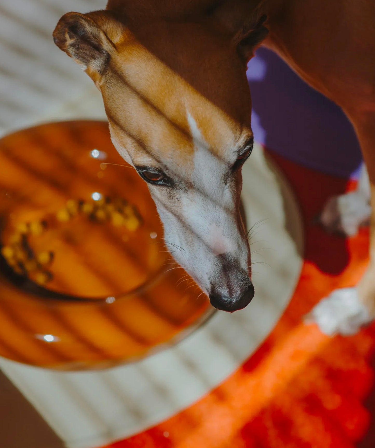Ceramic Bowl