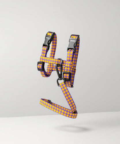 Arnés y correa para gatos