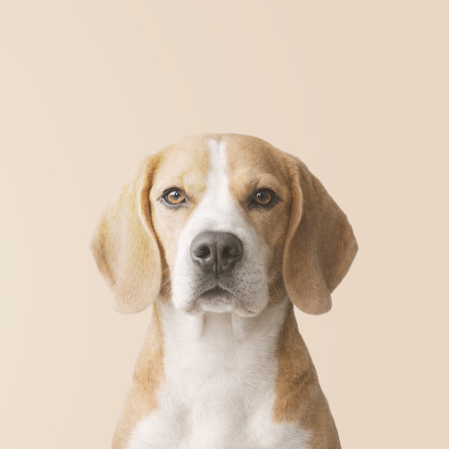 image-banner