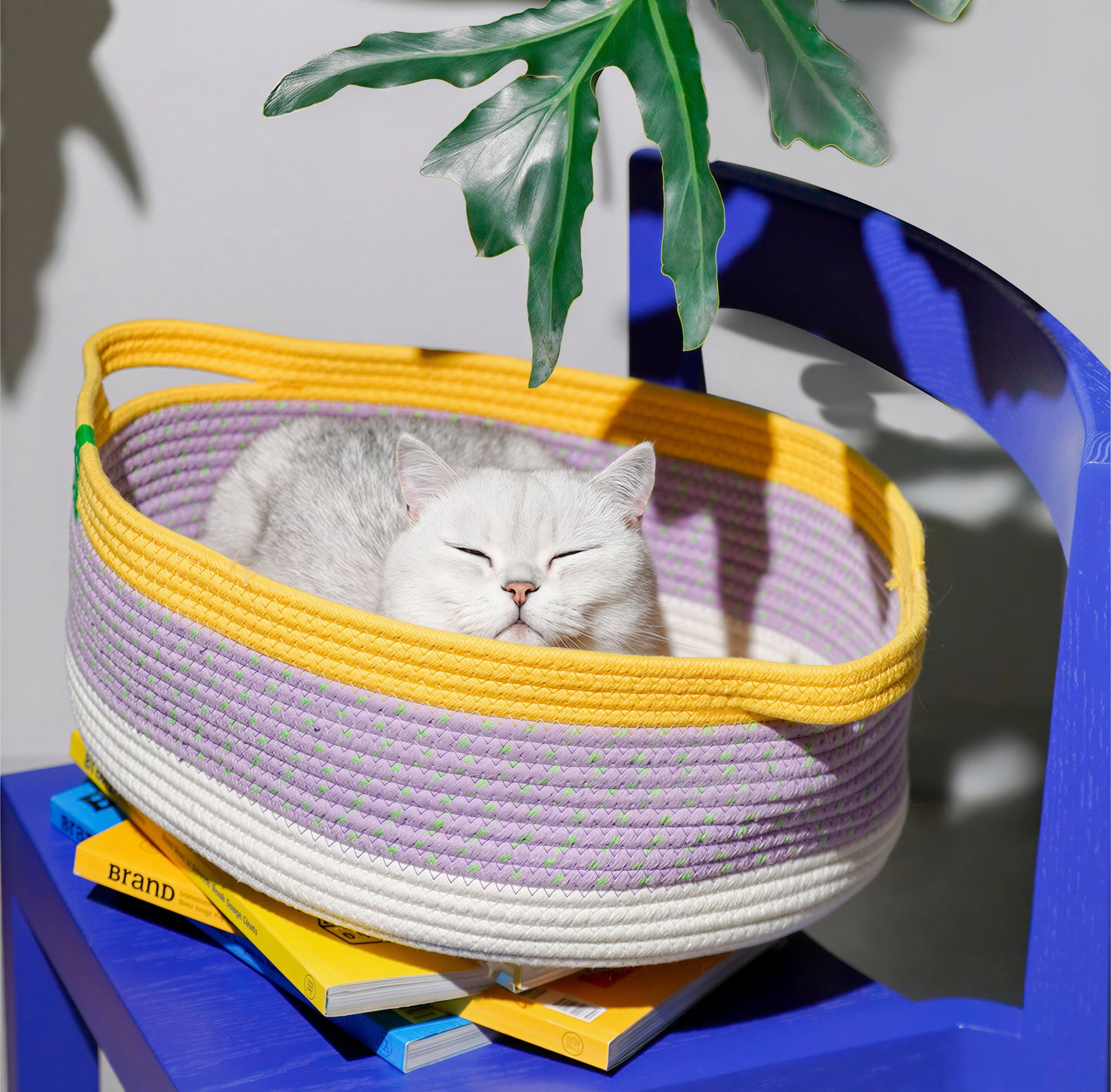 Lavender Rope Nest
