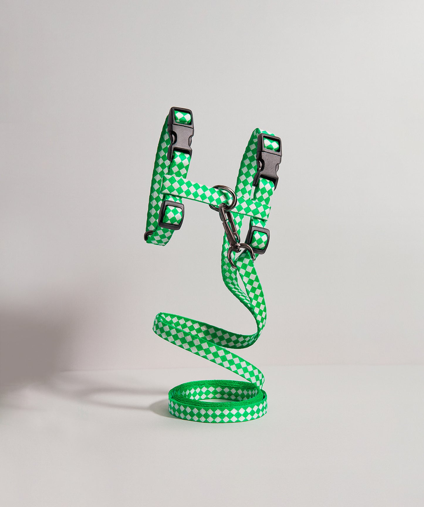 Arnés y correa para gatos