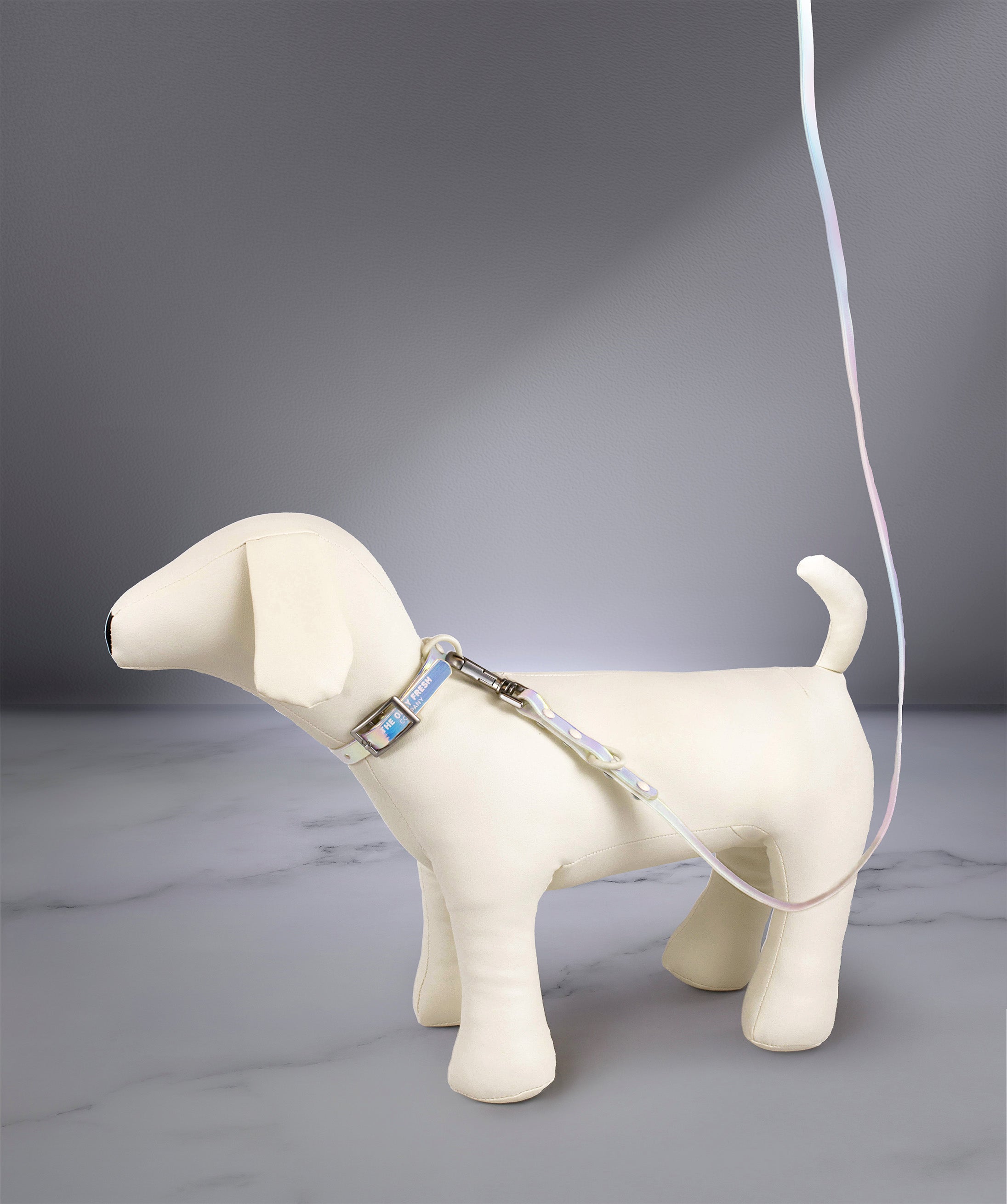 Smart Dog Leash