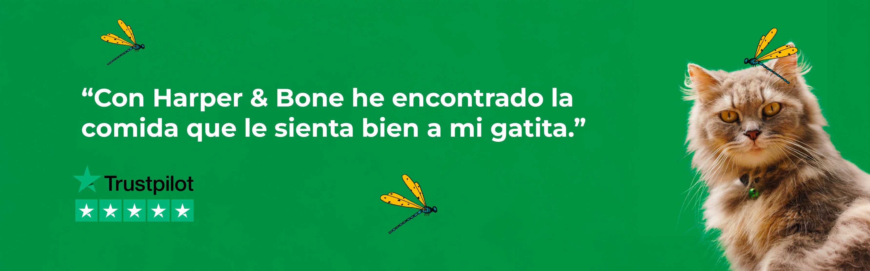 image-banner