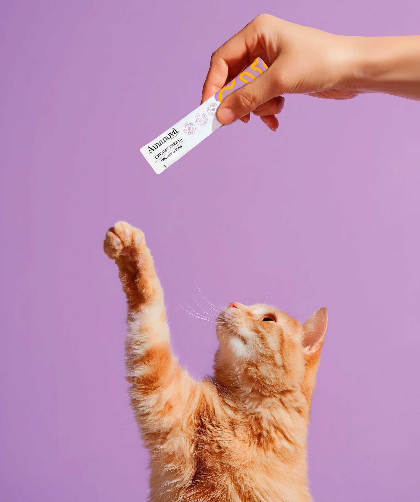 Creamy Treat - Creamy Ocean