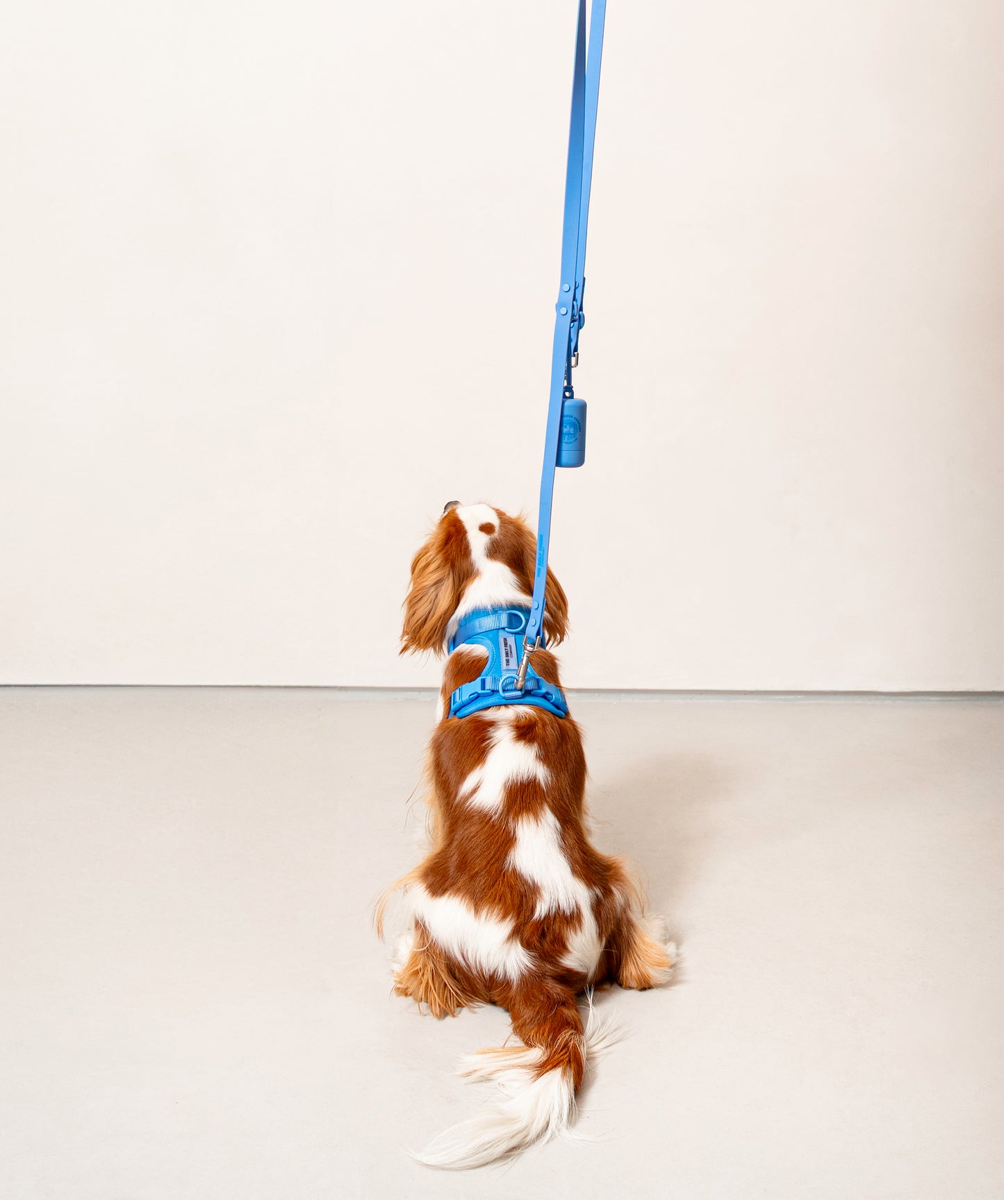 Smart Harness