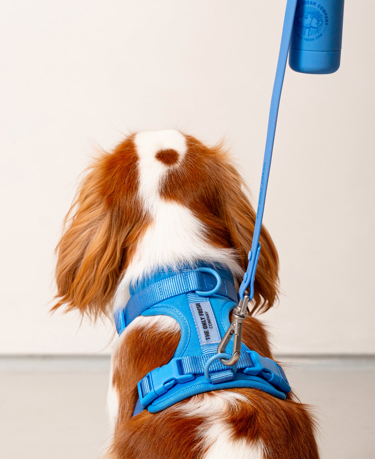 Smart Harness