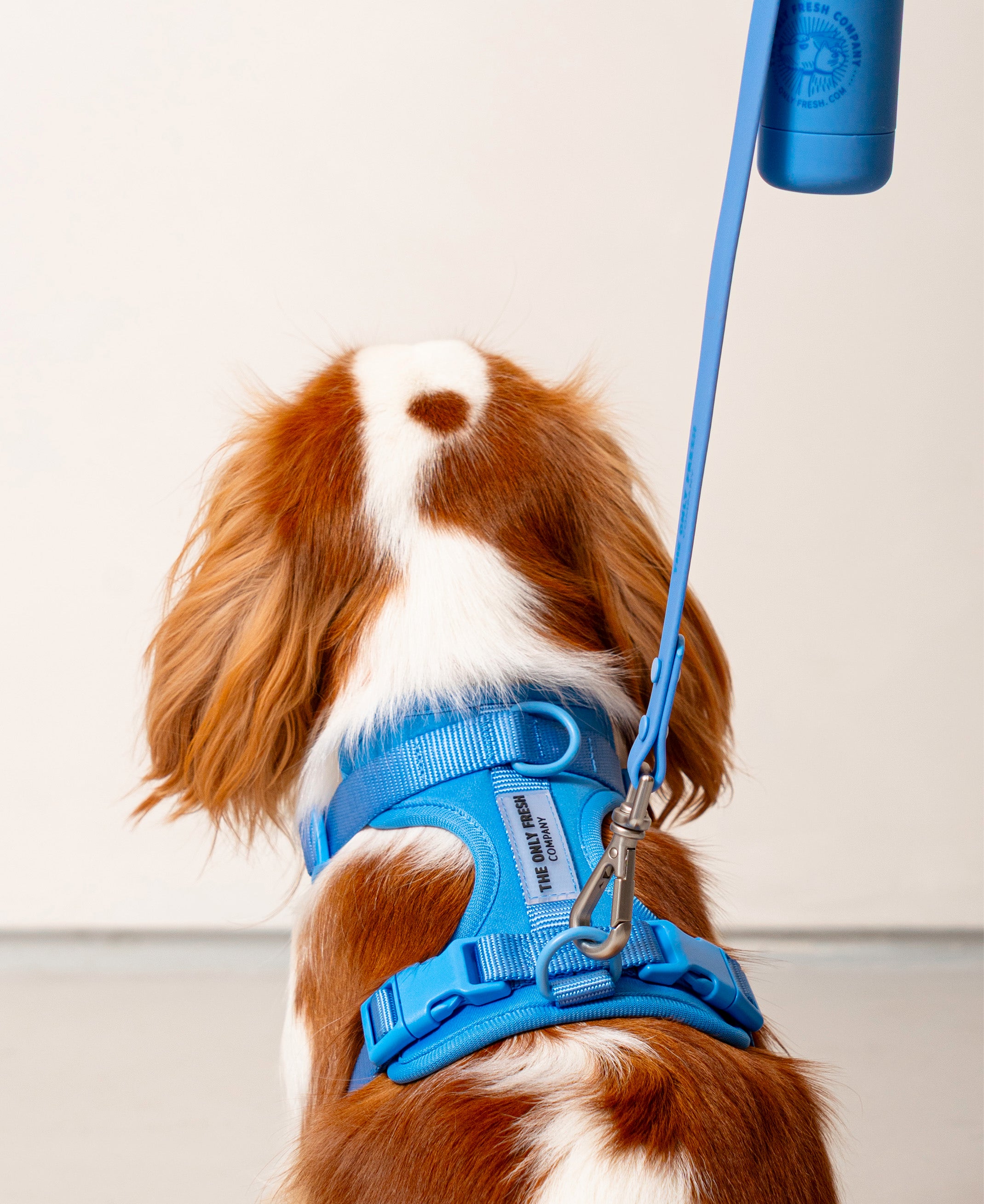 Smart Harness