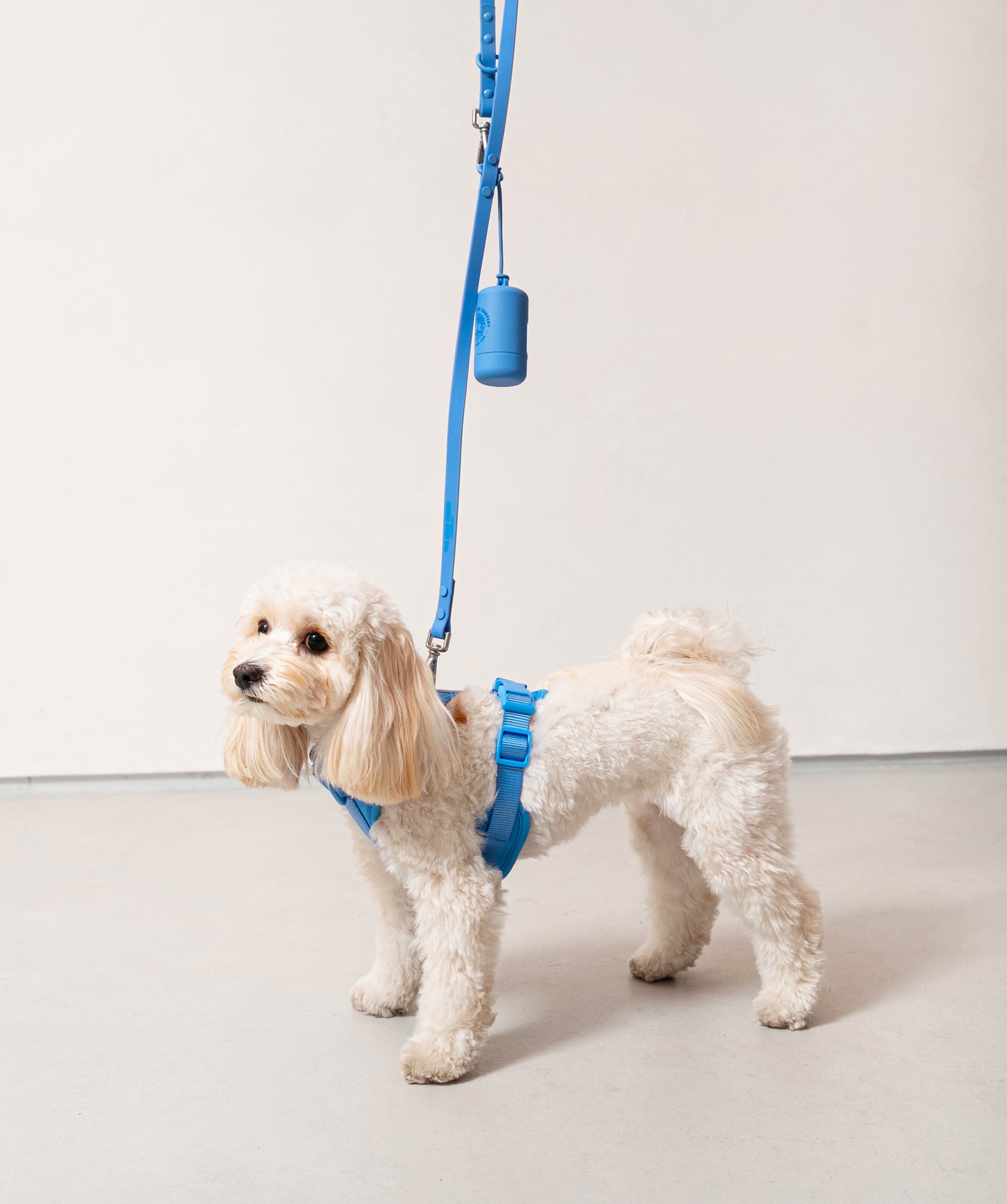Smart Dog Leash