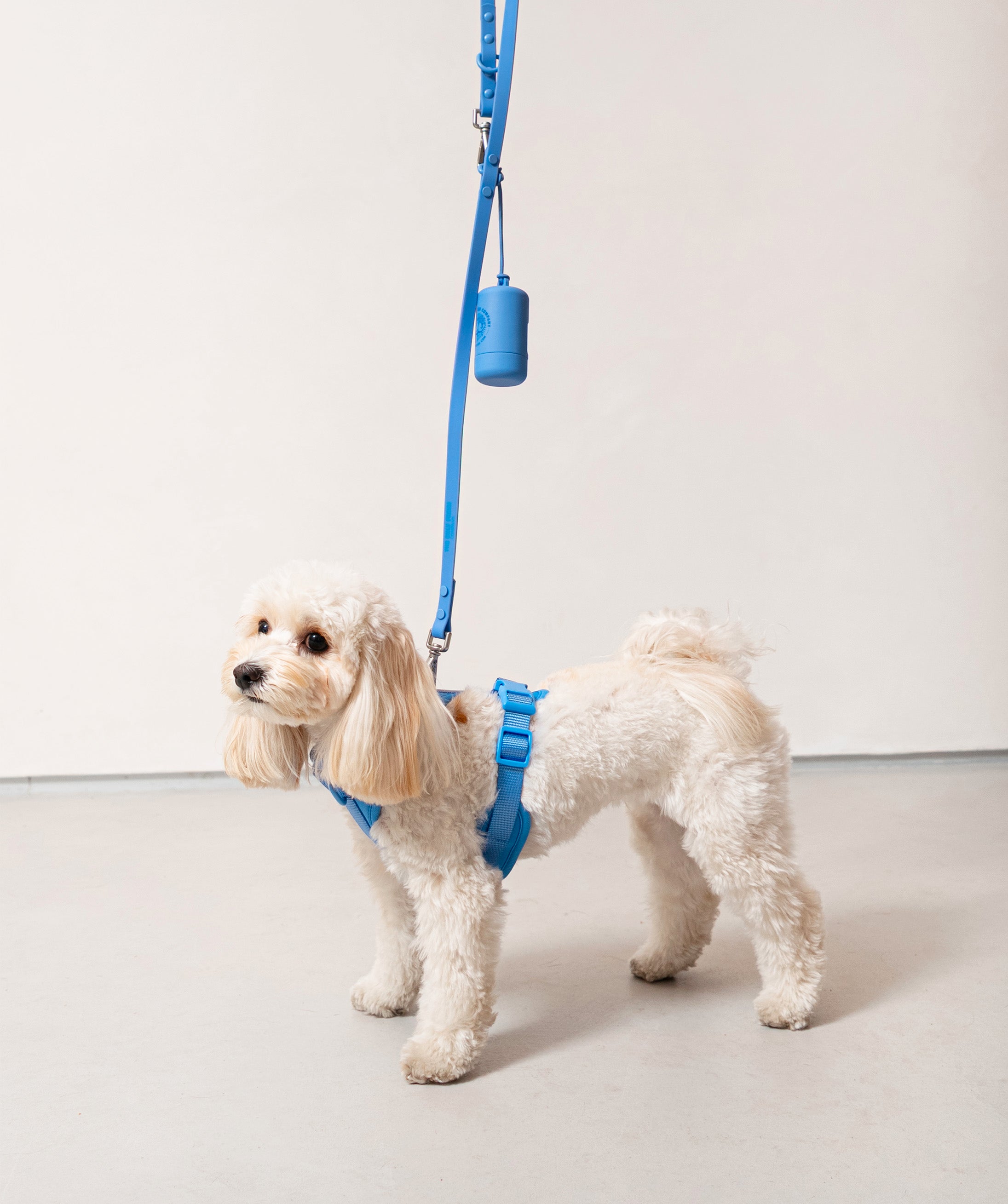Smart Dog Leash