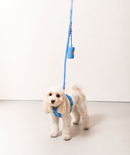 Smart Dog Leash