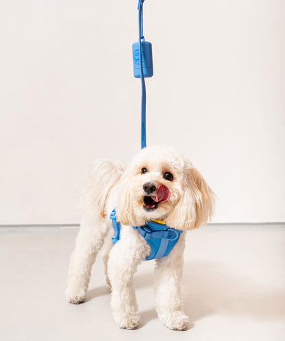 Smart Dog Leash