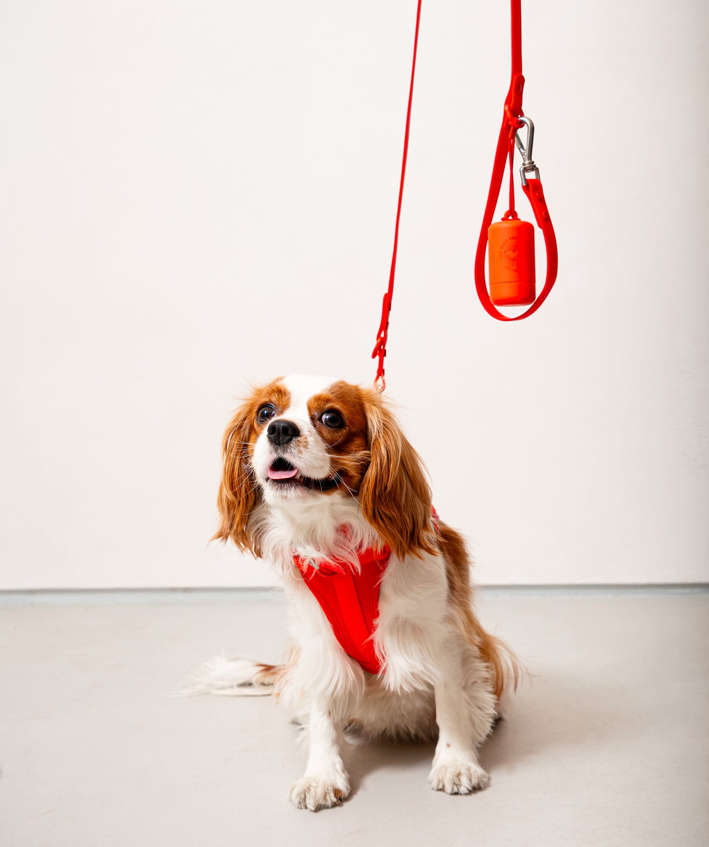Smart Dog Leash