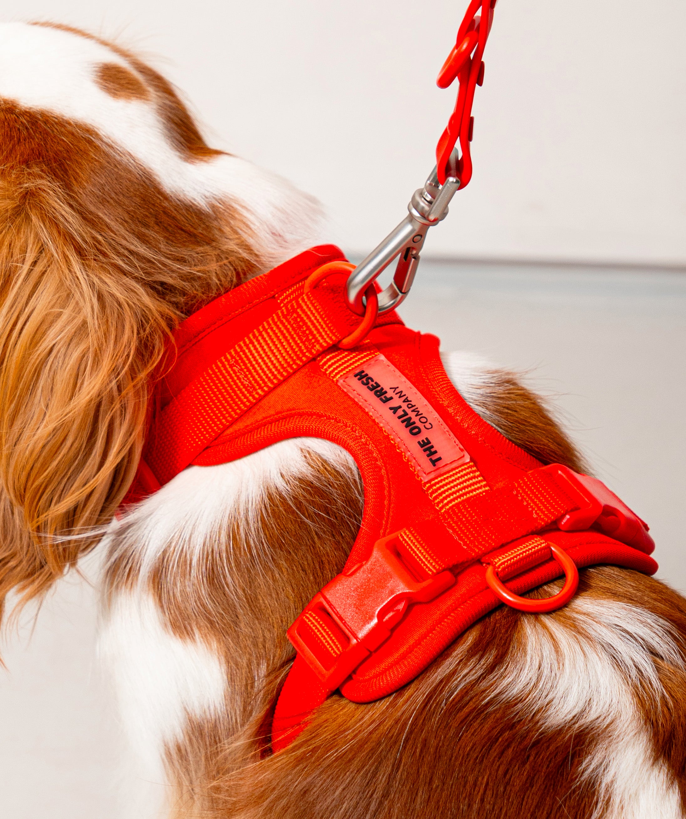 Smart Harness