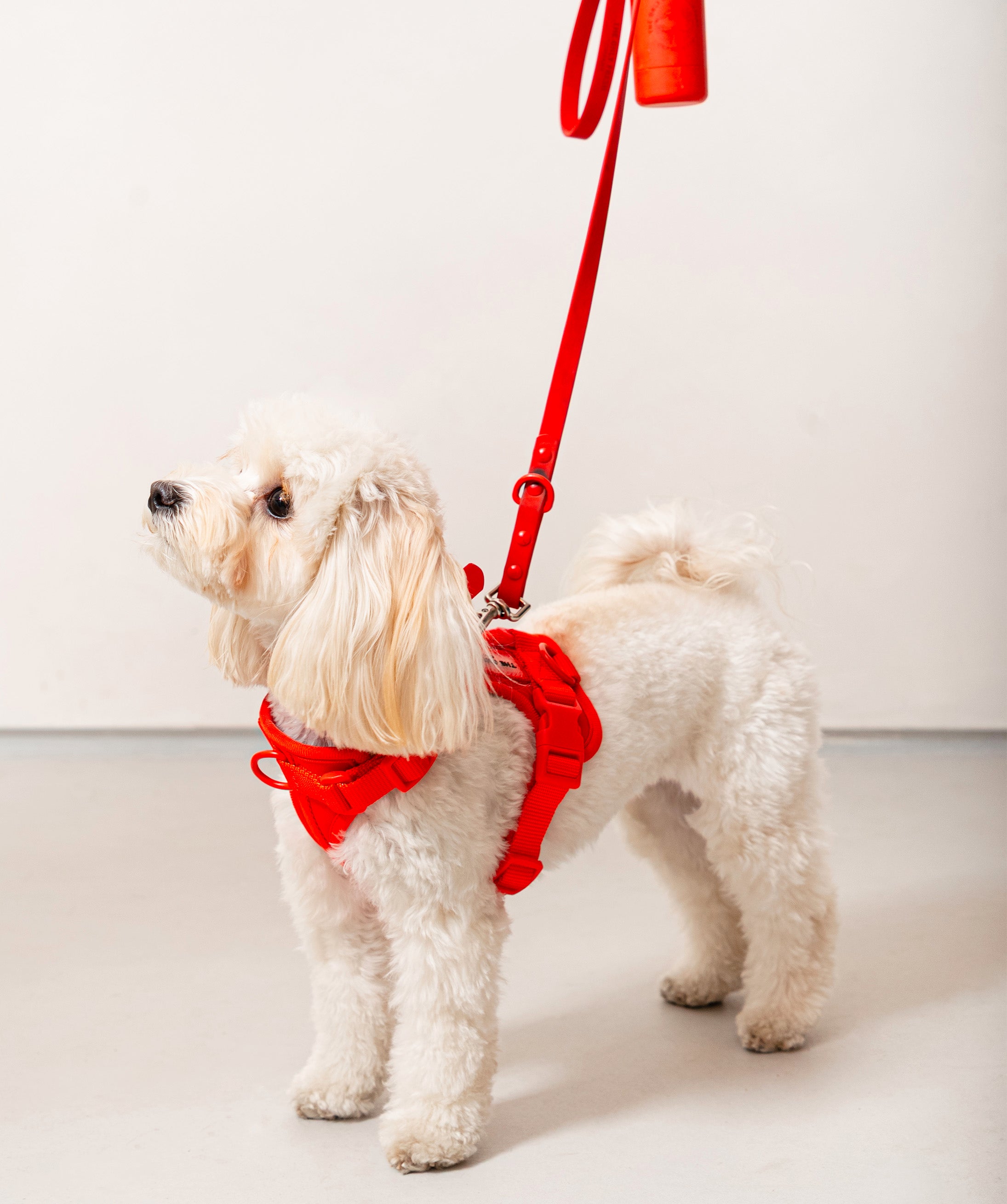 Smart Dog Leash