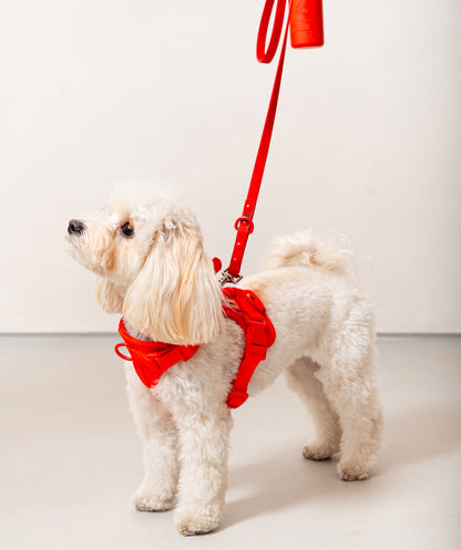Smart Dog Leash