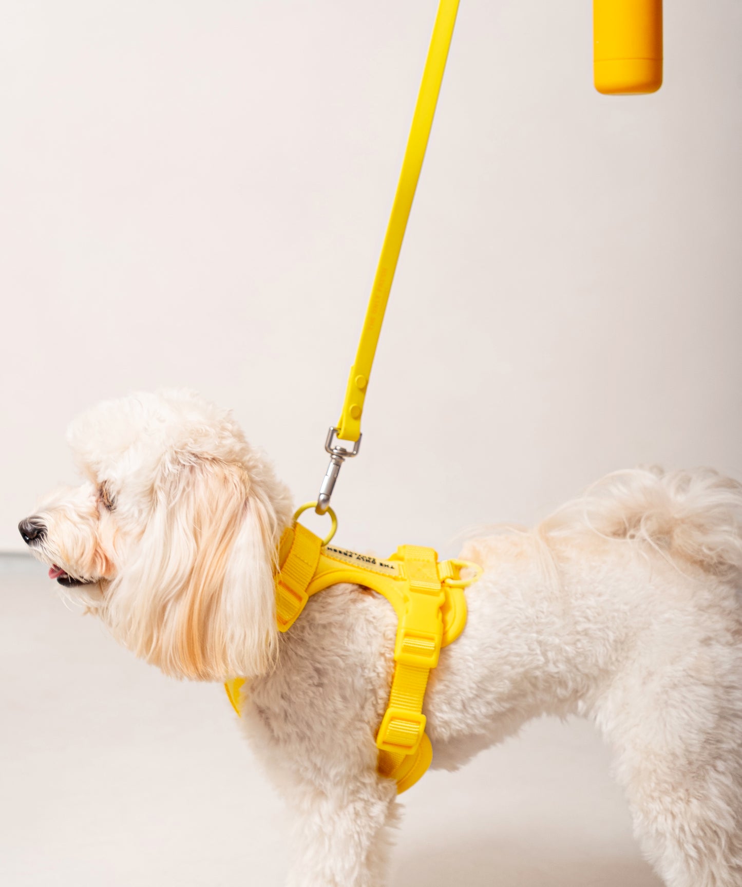 Smart Harness