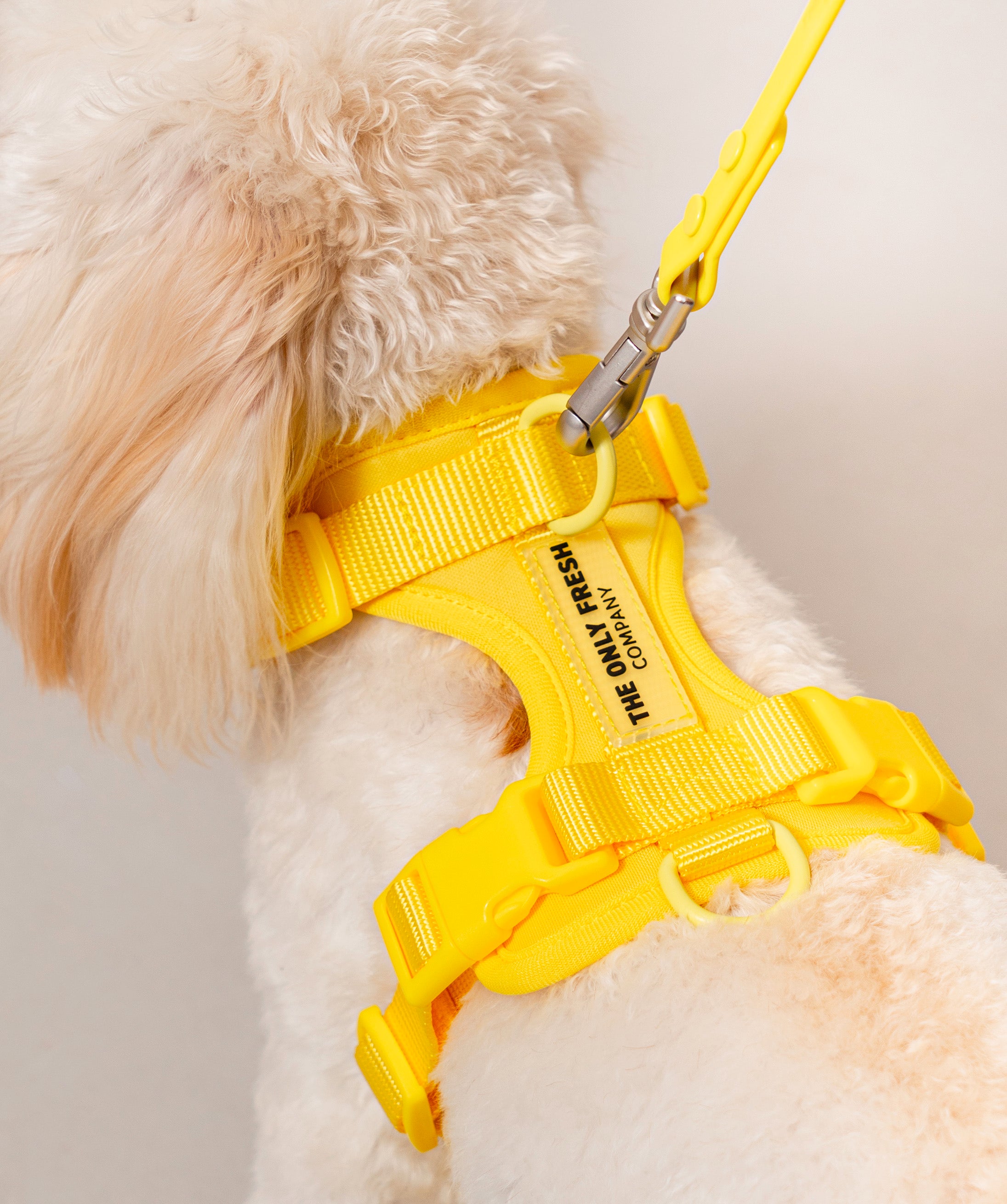 Smart Harness