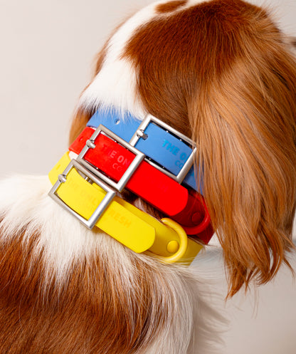 Smart Dog Collar