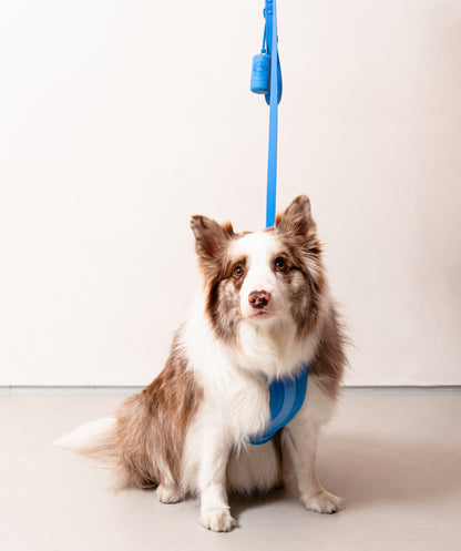 Smart Harness