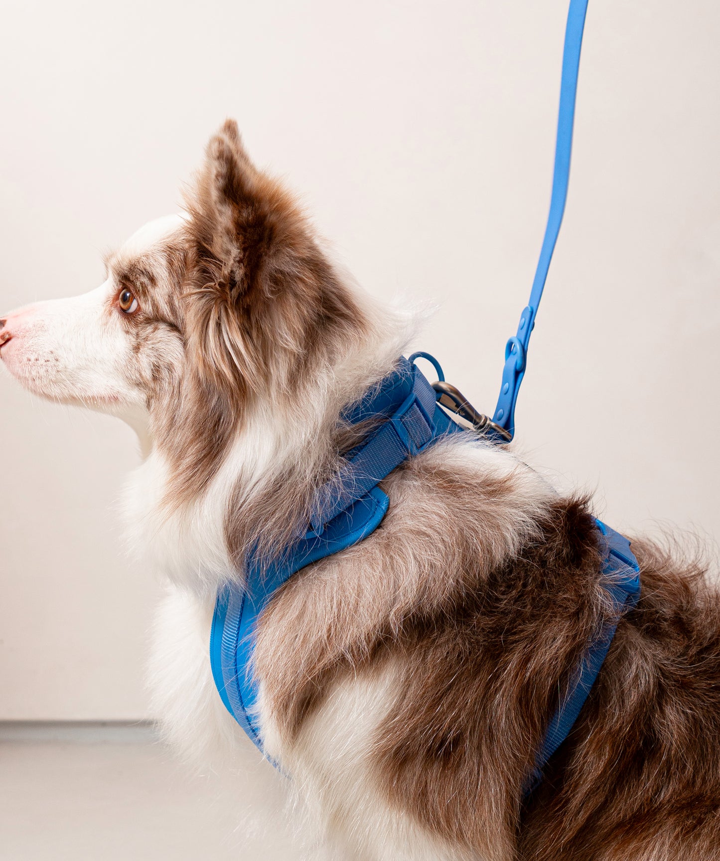 Smart Harness
