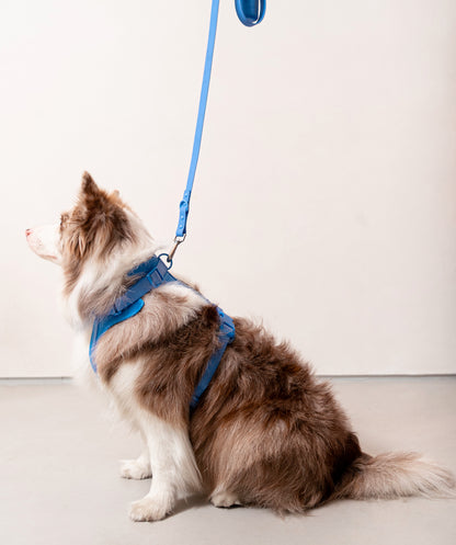 Smart Dog Leash