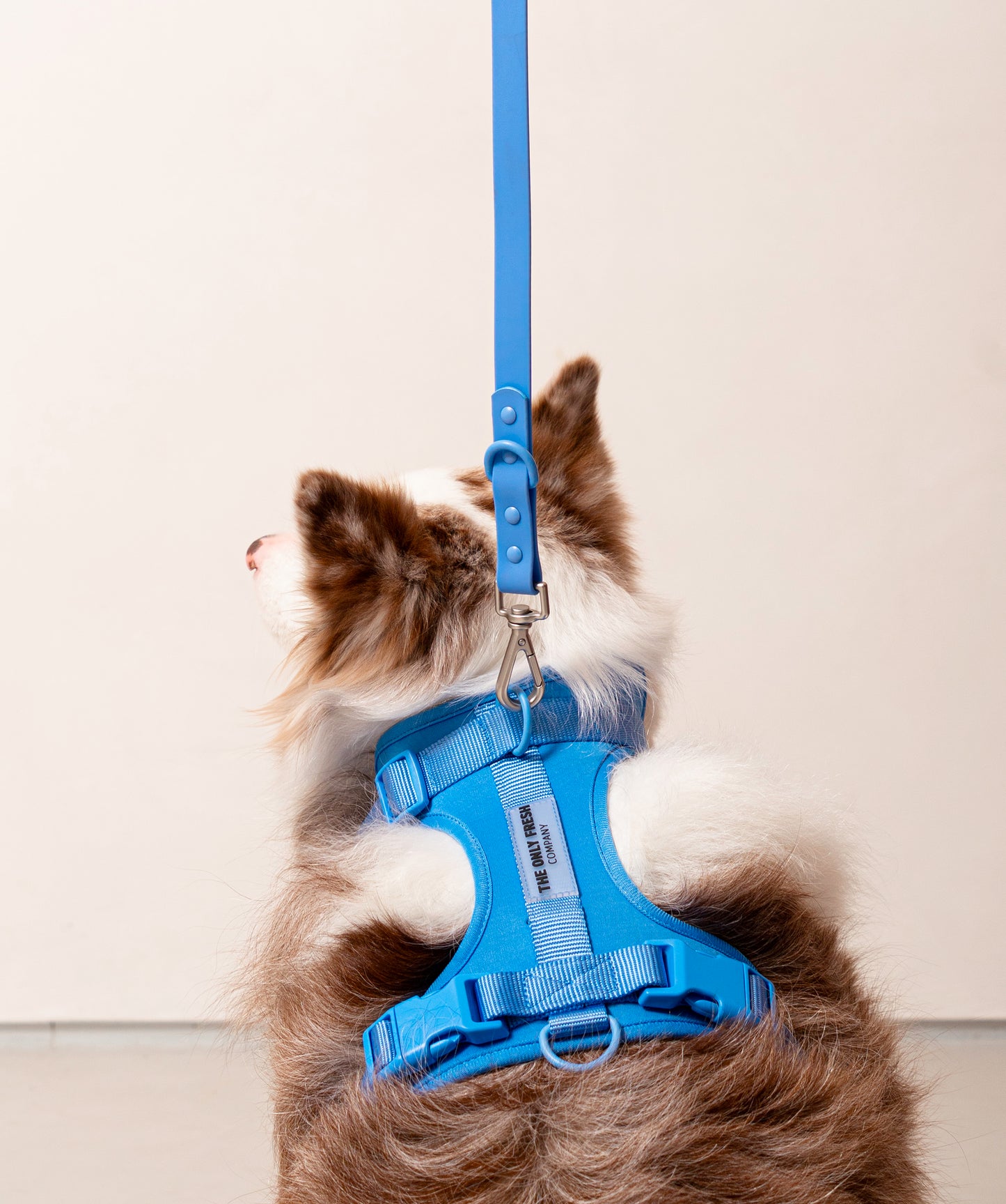 Smart Harness